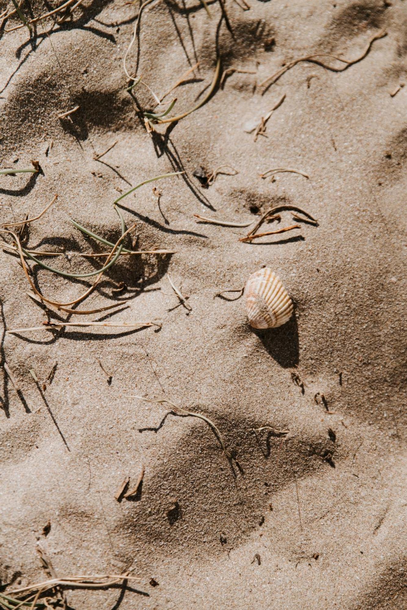 Mas Andalou Fabuleuse Premiere Ligne De Mer, Plage Privative Frontignan Buitenkant foto